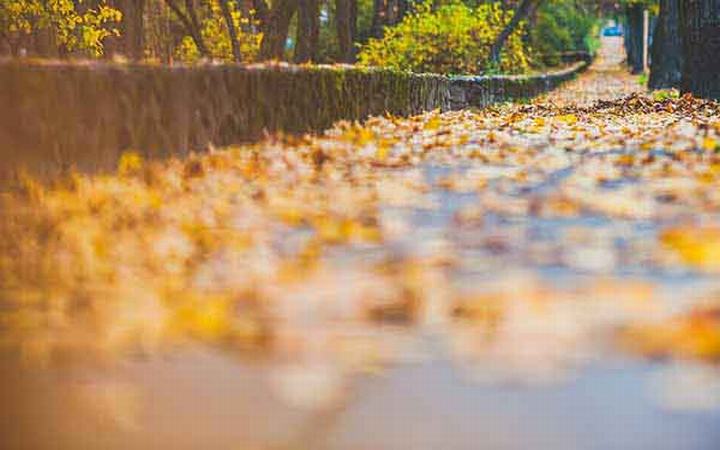 智慧停車場(chǎng)的功能分析